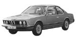 BMW E24 P15F9 Fault Code